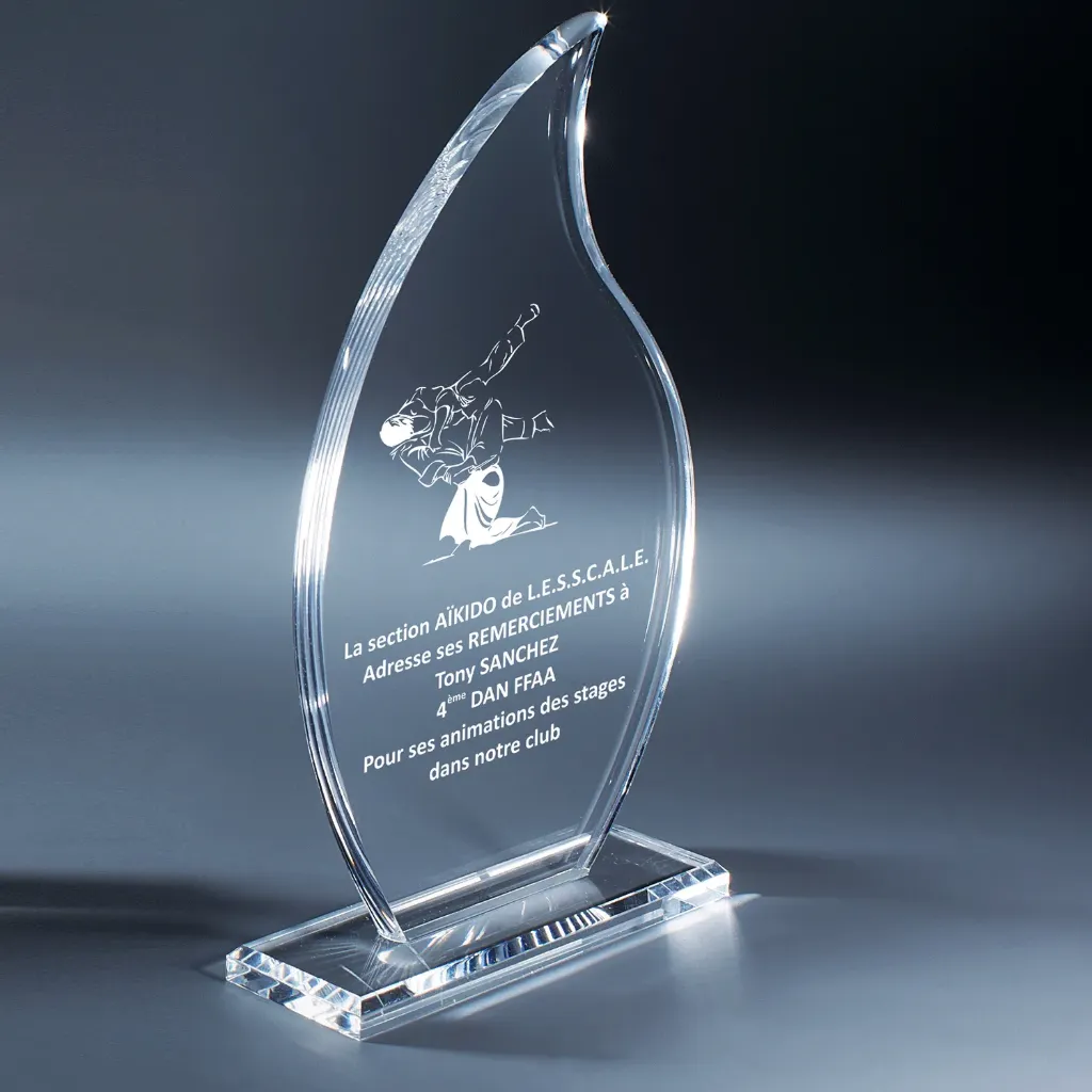 [PL056C] Trophée acrylique (17 cm)